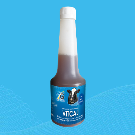 Vittra Vitcal  600g 1
