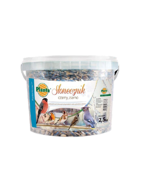 Fauna słonecznik we wiaderku 2.5kg 1