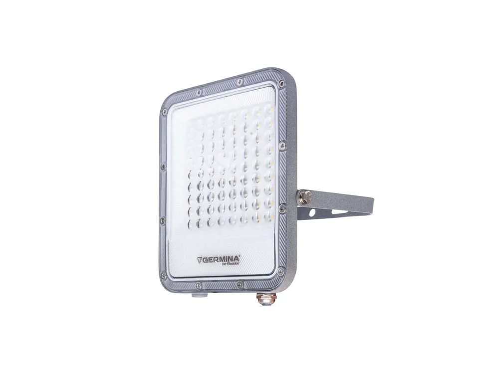 Germina naświetlacz LED Ares  50W 1