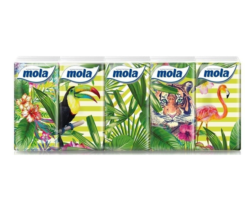 CH-Mola chusteczki 10x10 tropical 1