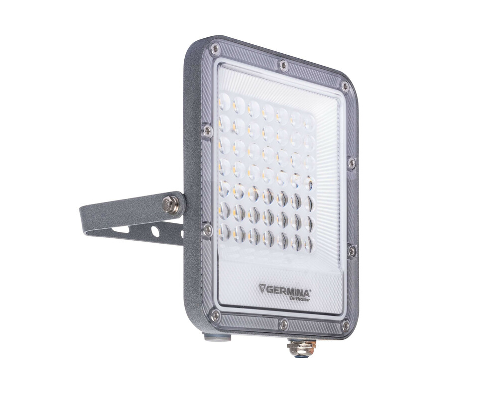 Germina naświetlacz LED Ares  30W 1