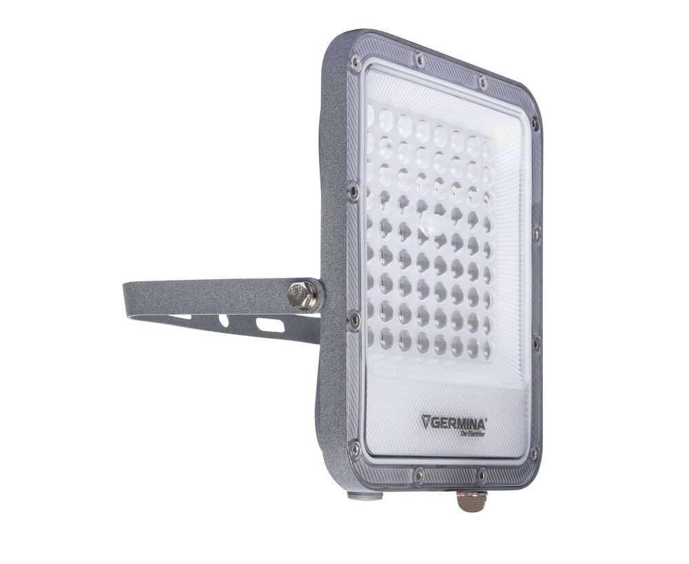 Germina naświetlacz LED Ares  50W 1