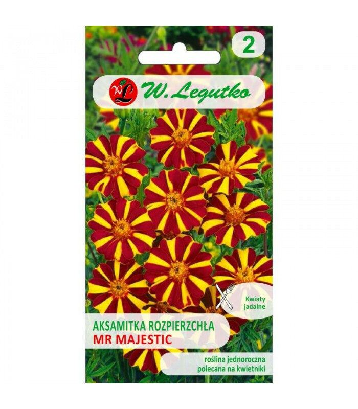 N-Aksamitka rozpierzchła Mr Majestic 0.3g 1
