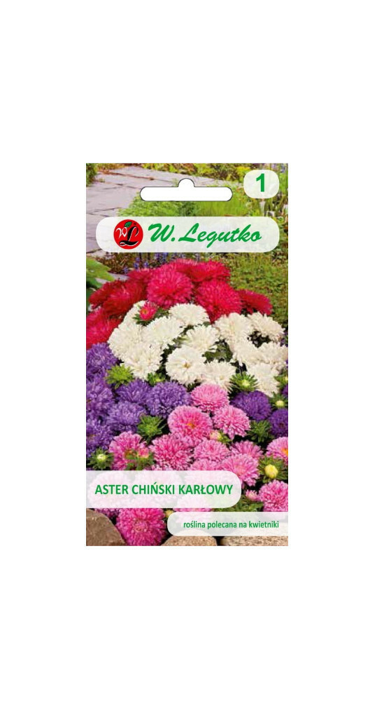 N-Aster chiński karłowy 1g+0.25g mieszanka 1