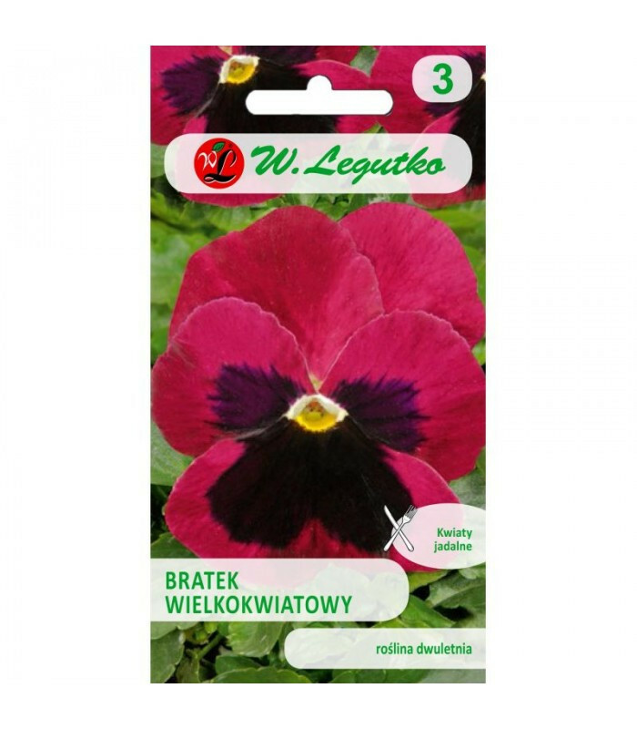 N-Bratek wielkokwiatowy Riesen Claret karminowy 0.5g 1