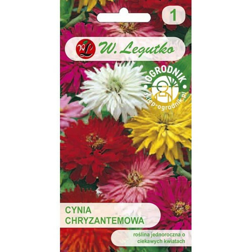 N-Cynia wytworna chryzantemowa mieszanka 1g 1