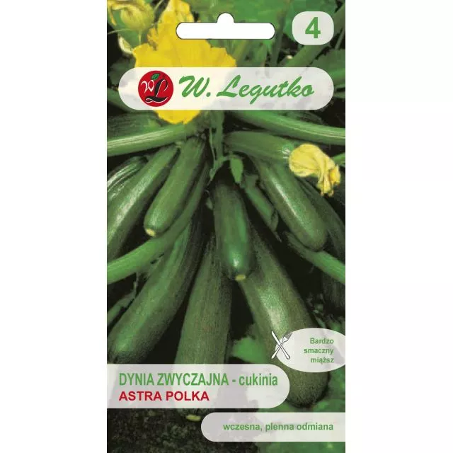 N-Dynia zwyczajna Astra Polka 2g+1g ST 1