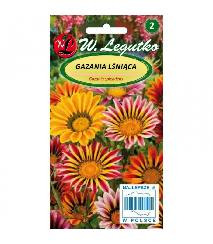 N-Gazania lśniąca mieszanka 0.3g 1