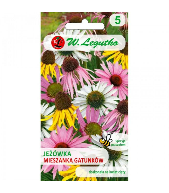 N-Jeżówka mieszanka gatunków 1g 1
