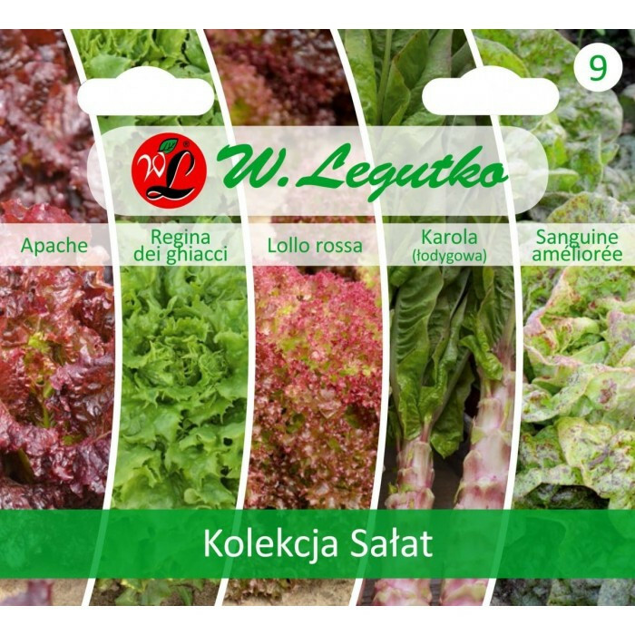 N-Kolekcja sałat ST 1