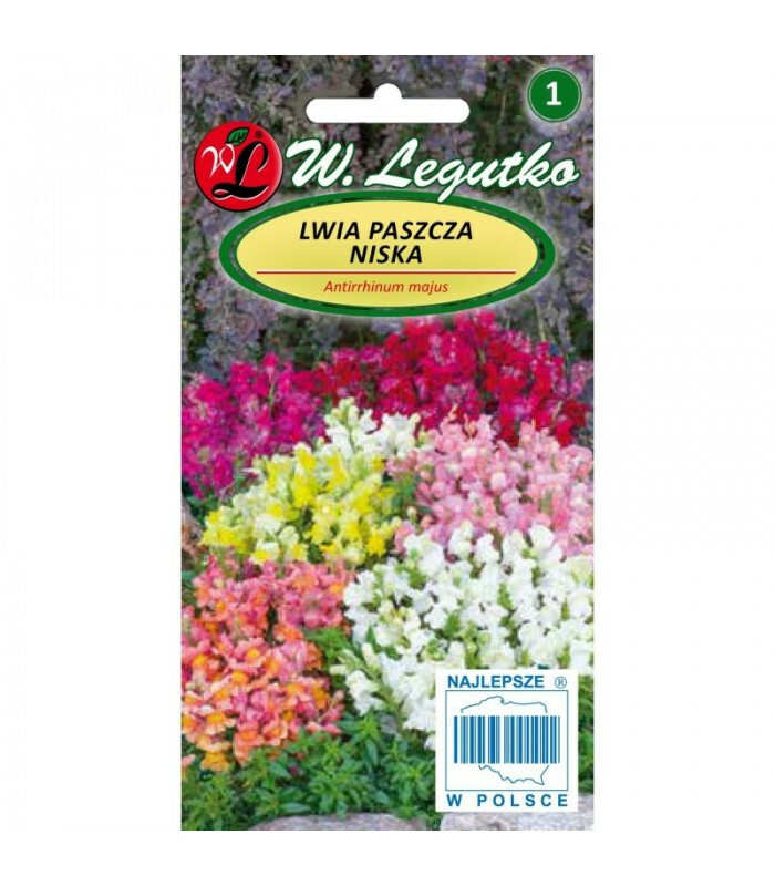 N-Lwia paszcza niska mieszanka 0.5g 1