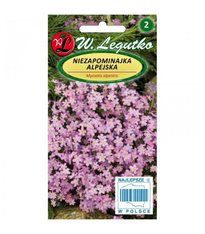 N-Niezapominajka alpejska różowa 0.3g 1