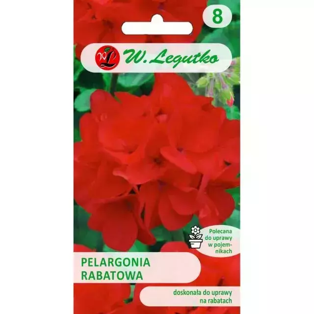 N-Pelargonia rabatowa Gama F1 czerwona 0.05g 1