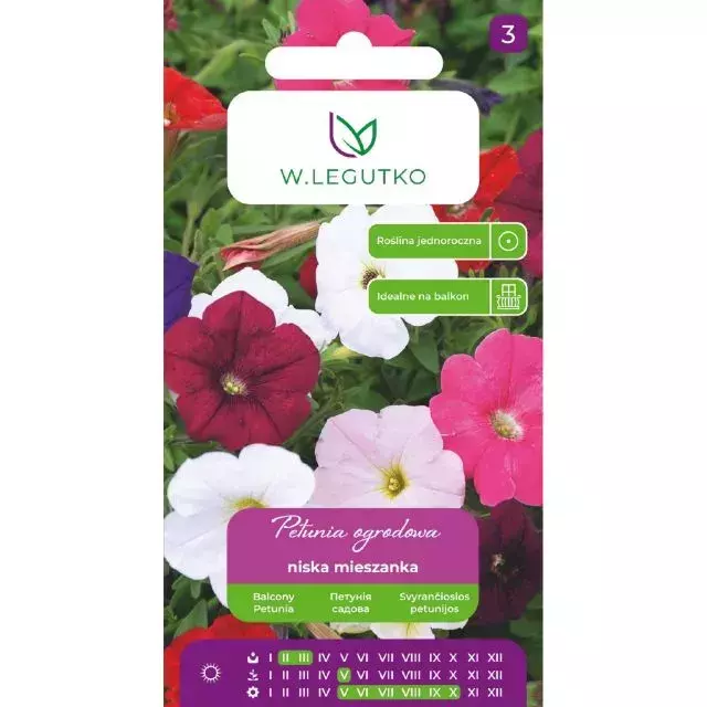 N-Petunia ogrodowa niska mieszanka 0.1g 1