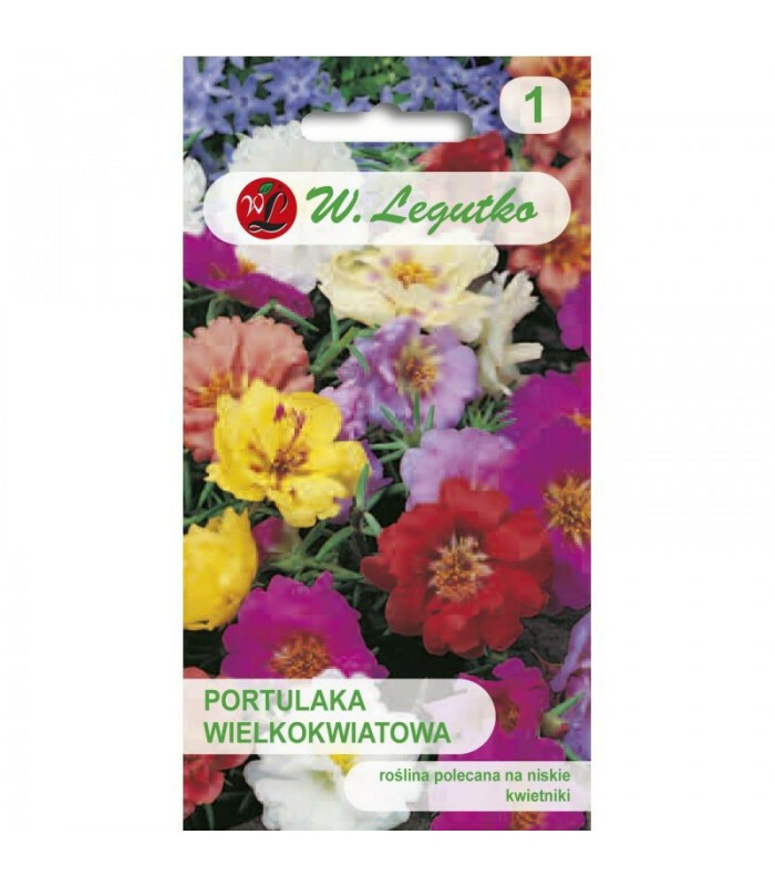 N-Portulaka wielkokwiatowa mieszanka 0.5g 1