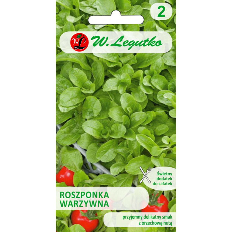 N-Roszponka warzywna Verte de Cambrai 2g 1