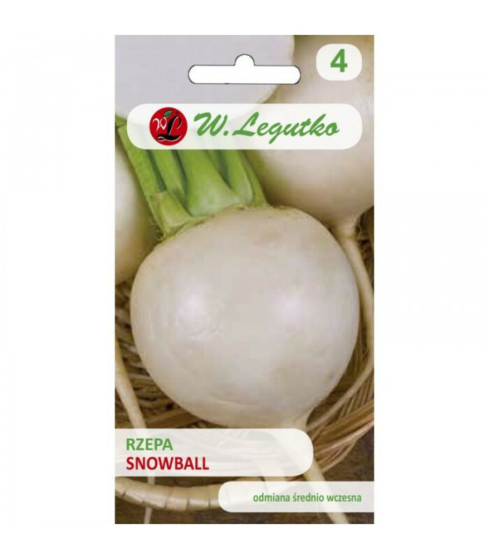 N-Rzepa Bola de nieve 5g ST 1
