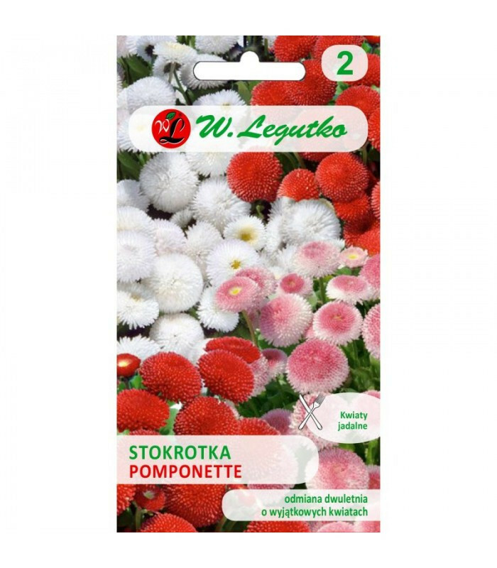 N-Stokrotka pospolita Pomponette 0.1g 1