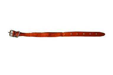 Obroża skóra dla psa 20mm/60cm 1