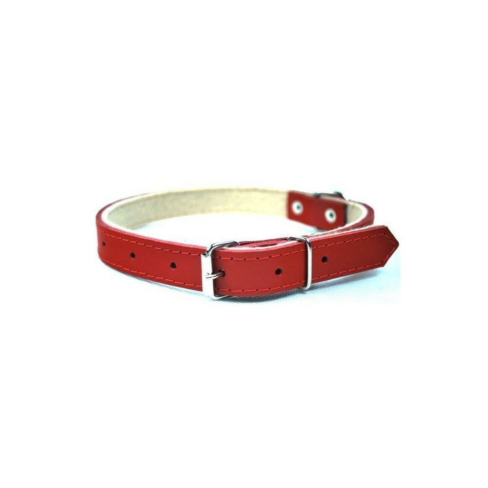 Obroża skóra dla psa 30mm/70cm 1