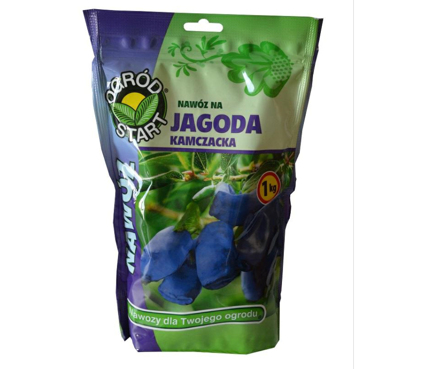 Ogród jagoda kamczacka 1kg 1
