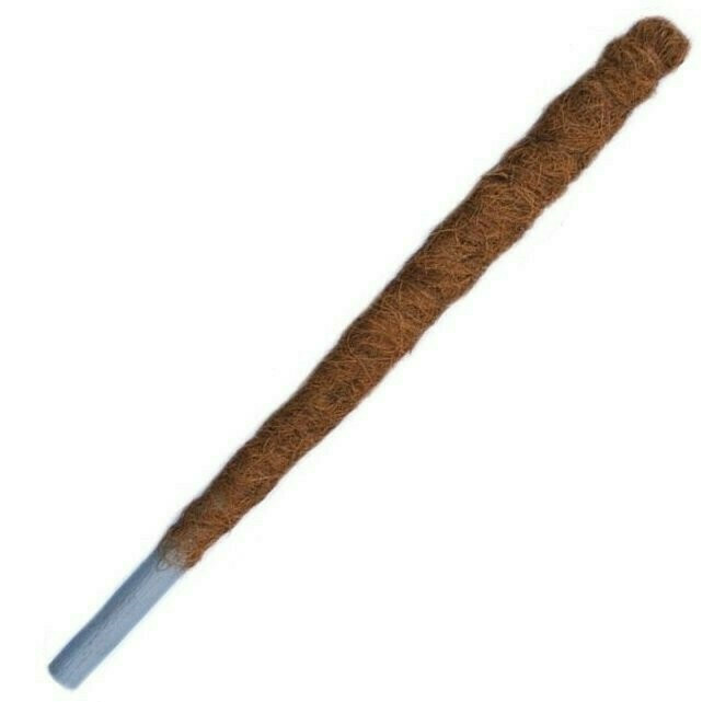 Palik z włókna kokosowego 150cm/42mm 1
