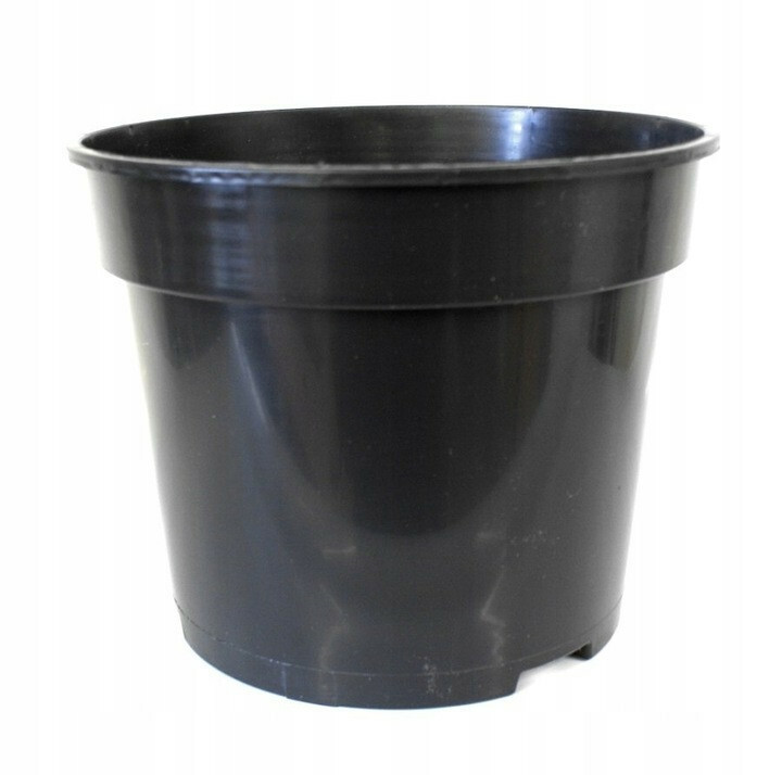 Planta doniczka 3L fi19 1