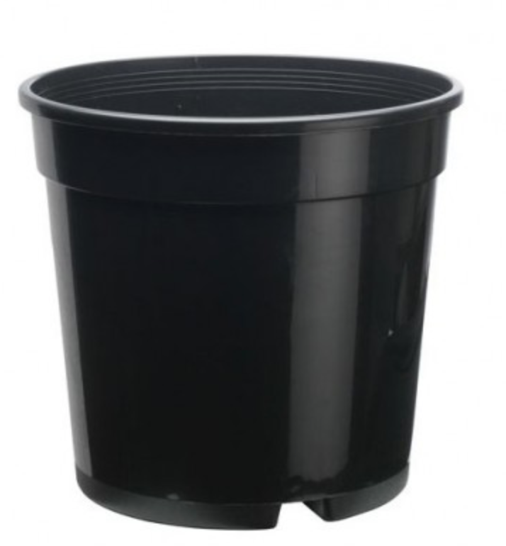 Planta doniczka 5L fi23 1