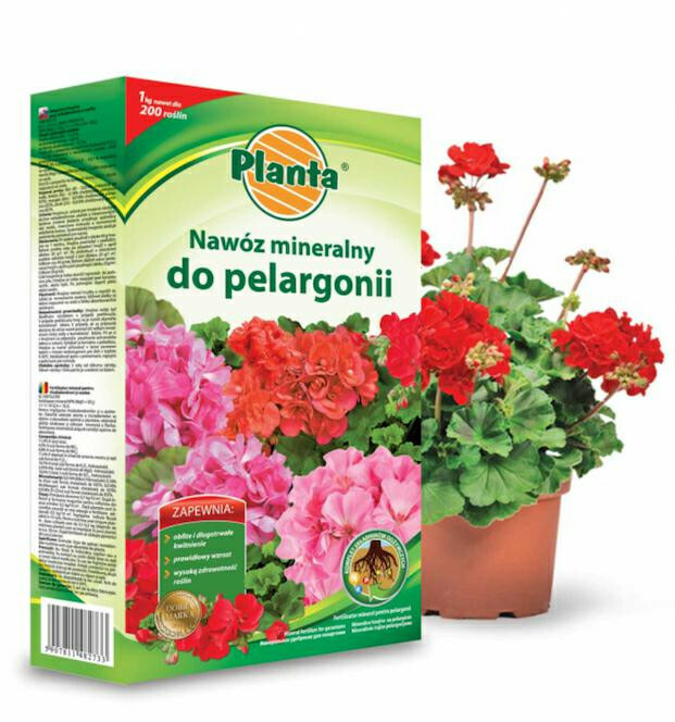 Planta nawóz pelargonia 1kg 1