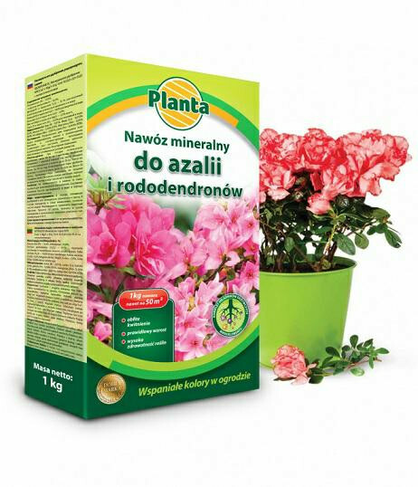 Planta nawóz rododendron/azalia 1kg 1