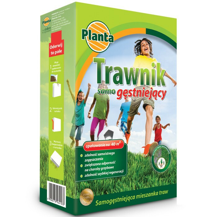 Planta trawa samogęstniejąca 1kg PL112/63/115/G143 1
