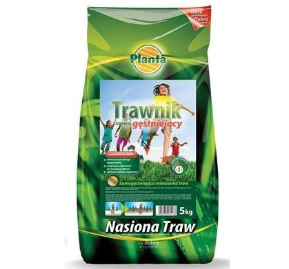 Planta trawa samogęstniejąca 5kg PL112/63/115/G143 1