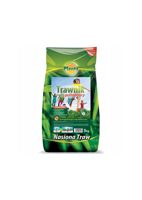 Planta trawa samogęstniejąca 5kg PL212/63/115/G2213 1