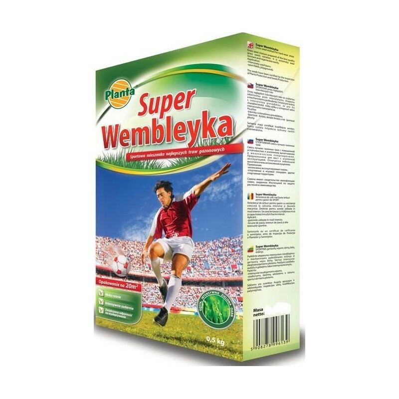 Planta trawa wembley sportowa 0.5kg PL012/63/115/G020 1