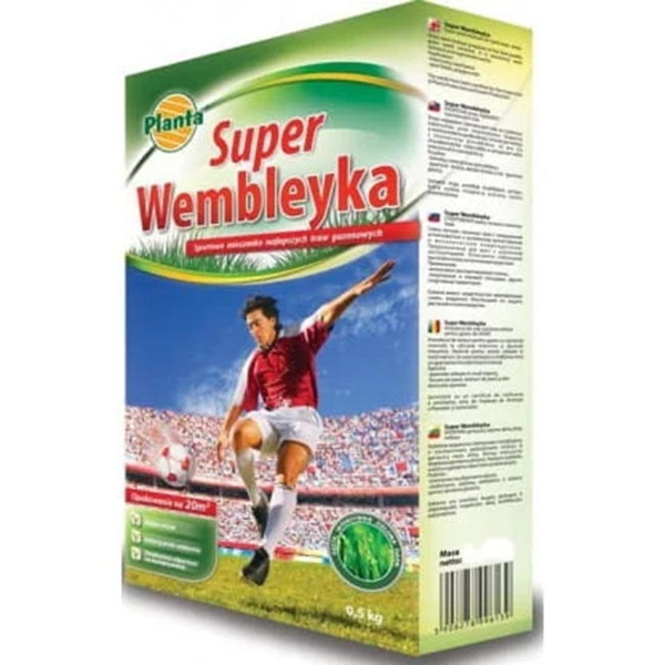 Planta trawa wembley sportowa 0.5kg PL012/63/115/G035/A 1