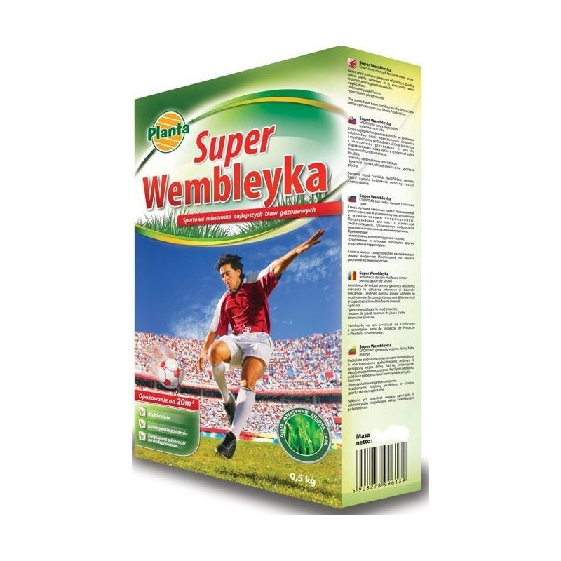 Planta trawa wembley sportowa 0.5kg PL112/63/115/G128 1