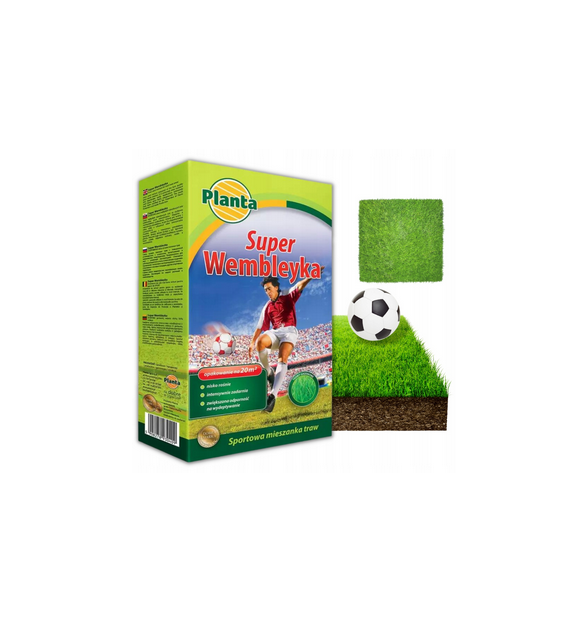 Planta trawa wembley sportowa 0.5kg PL712/63/115/G763 1