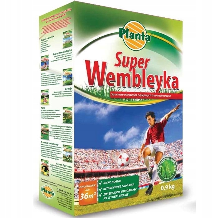 Planta trawa wembley sportowa 0.9kg PL012/63/115/G020 1