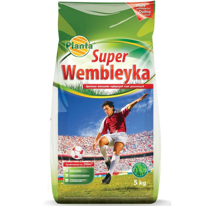 Planta trawa wembley sportowa 5kg 1
