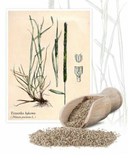 Planta tymotka łąkowa Alma 1kg 1