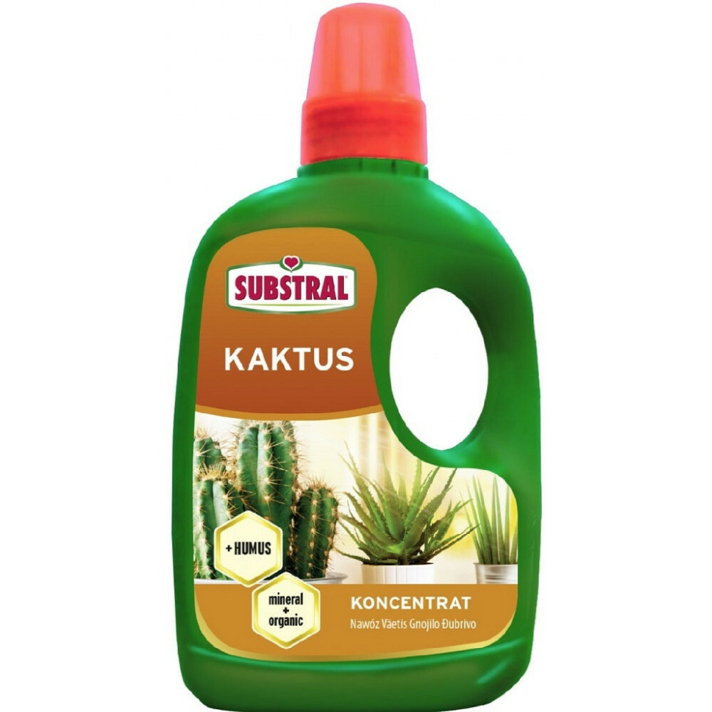 Substral nawóz płynny kaktus + HUMUS 250ml 1