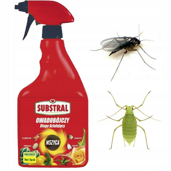 Substral Polysect środek owadobójczy długodziałajacy 750ml RTU 1