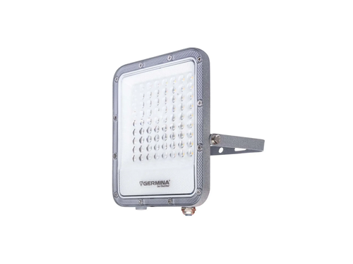 Germina naświetlacz LED Ares  50W 1