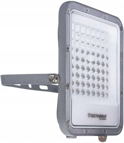 Germina naświetlacz LED Ares 100W 1