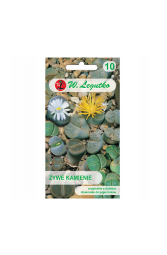 N-Żywe kamienie mieszanka 50 nasion 1