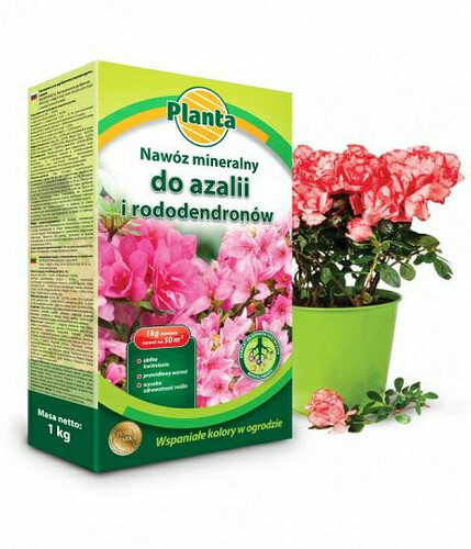 Planta nawóz rododendron/azalia 1kg 1