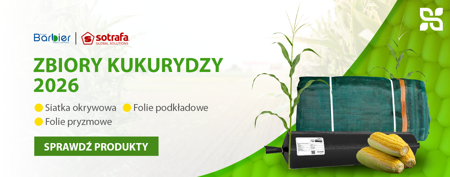 Zbiory kukurydzy