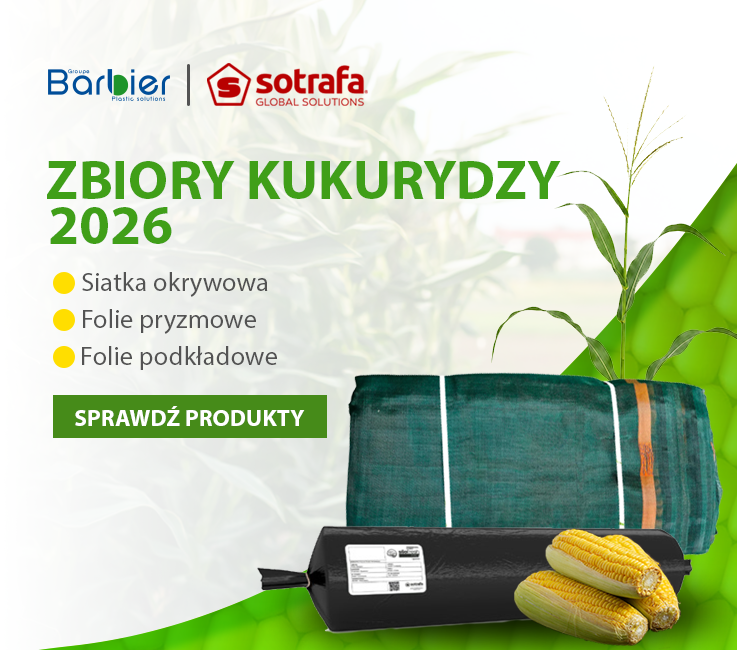 Zbiory kukurydzy